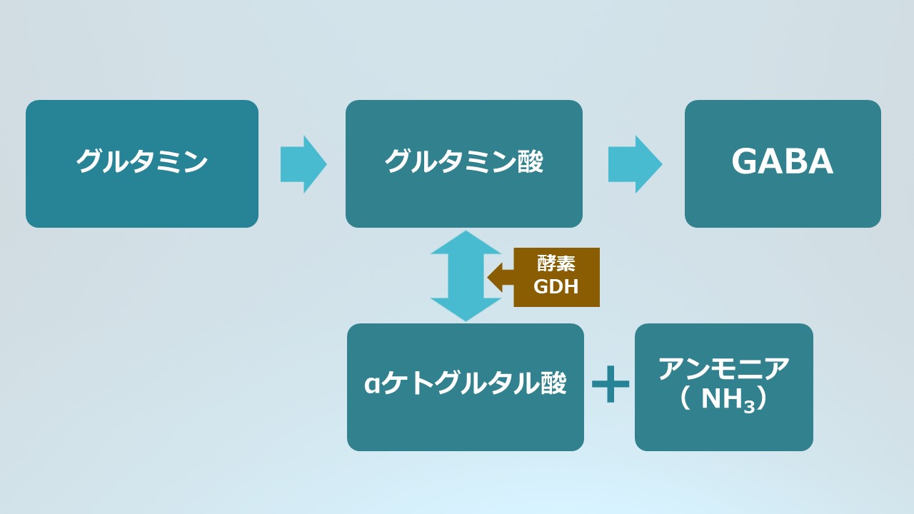 食事性グルタミン酸