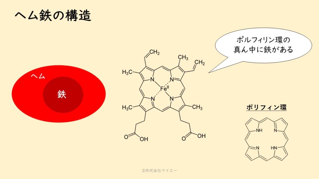Hgbが高いとはどういう意味ですか?